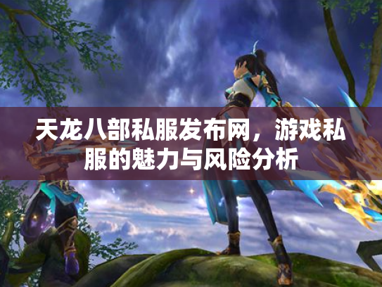 天龙八部私服发布网，游戏私服的魅力与风险分析