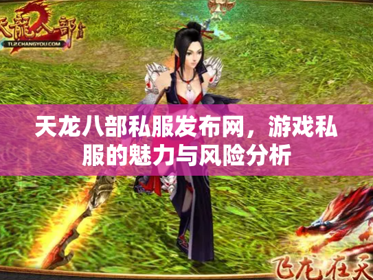 天龙八部私服发布网，游戏私服的魅力与风险分析