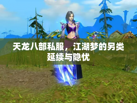 天龙八部私服，江湖梦的另类延续与隐忧