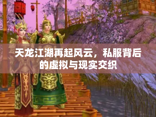 天龙江湖再起风云，私服背后的虚拟与现实交织
