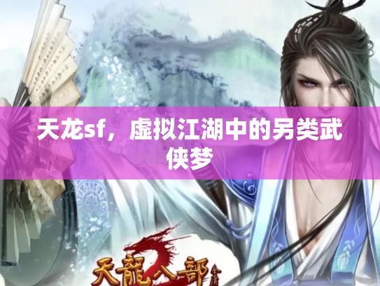天龙sf，虚拟江湖中的另类武侠梦