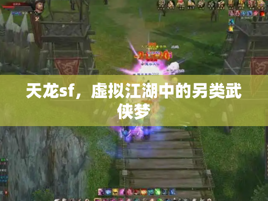 天龙sf，虚拟江湖中的另类武侠梦