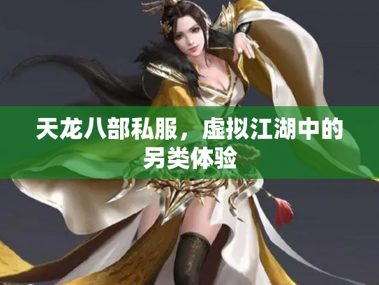 天龙八部私服，虚拟江湖中的另类体验
