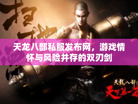 天龙八部私服发布网，游戏情怀与风险并存的双刃剑