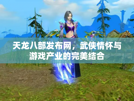 天龙八部发布网，武侠情怀与游戏产业的完美结合