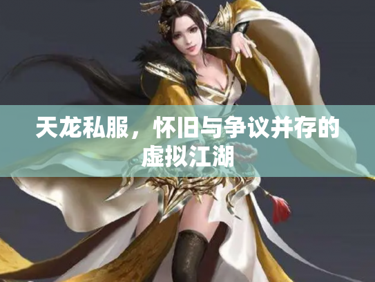 天龙私服，怀旧与争议并存的虚拟江湖