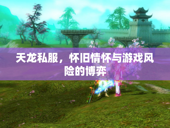 天龙私服，怀旧情怀与游戏风险的博弈