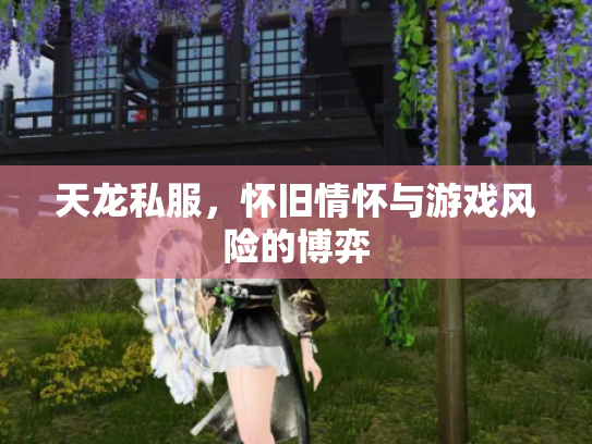 天龙私服，怀旧情怀与游戏风险的博弈