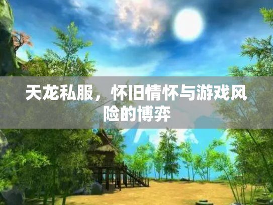 天龙私服，怀旧情怀与游戏风险的博弈