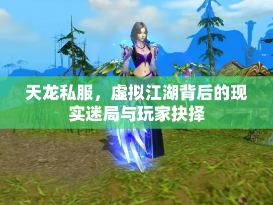 天龙私服，虚拟江湖背后的现实迷局与玩家抉择