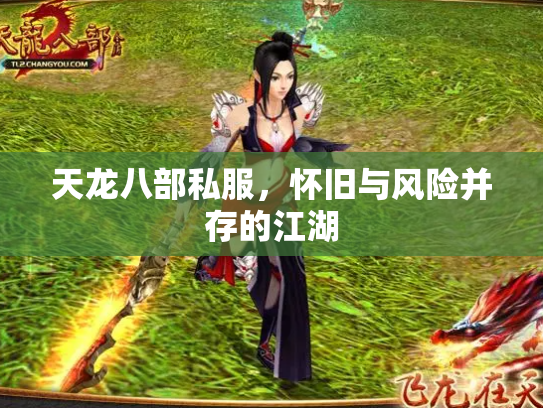 天龙八部私服，怀旧与风险并存的江湖