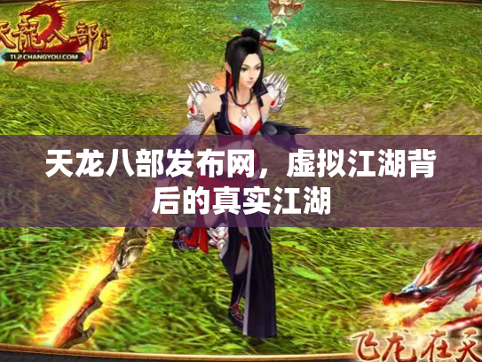 天龙八部发布网，虚拟江湖背后的真实江湖