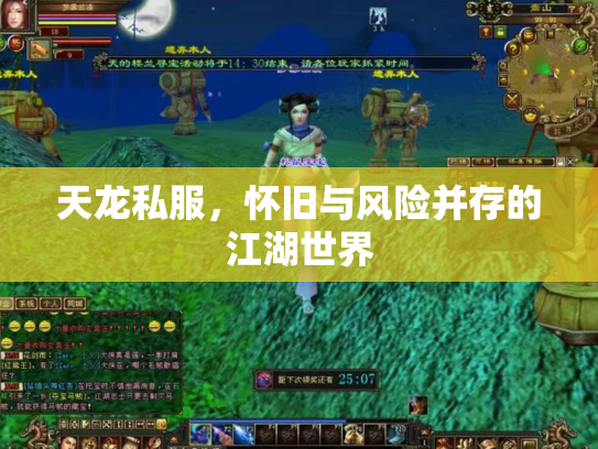 天龙私服，怀旧与风险并存的江湖世界
