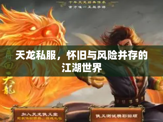 天龙私服，怀旧与风险并存的江湖世界