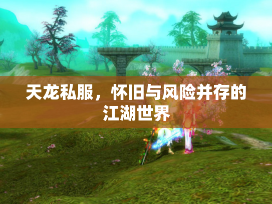 天龙私服，怀旧与风险并存的江湖世界