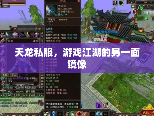 天龙私服，游戏江湖的另一面镜像