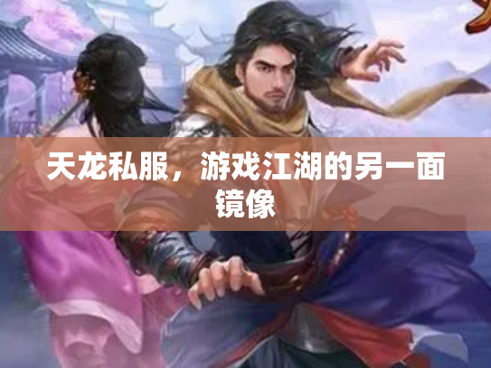 天龙私服，游戏江湖的另一面镜像