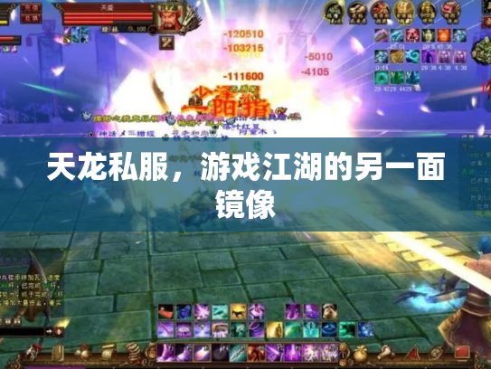 天龙私服，游戏江湖的另一面镜像