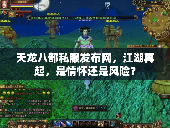 天龙八部私服发布网，江湖再起，是情怀还是风险？
