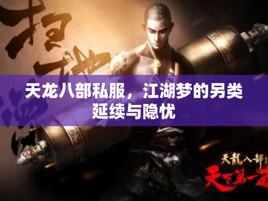 天龙八部私服，江湖梦的另类延续与隐忧