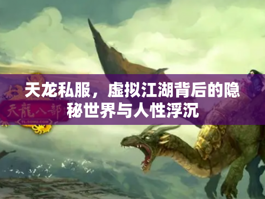 天龙私服，虚拟江湖背后的隐秘世界与人性浮沉