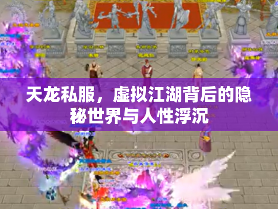 天龙私服，虚拟江湖背后的隐秘世界与人性浮沉