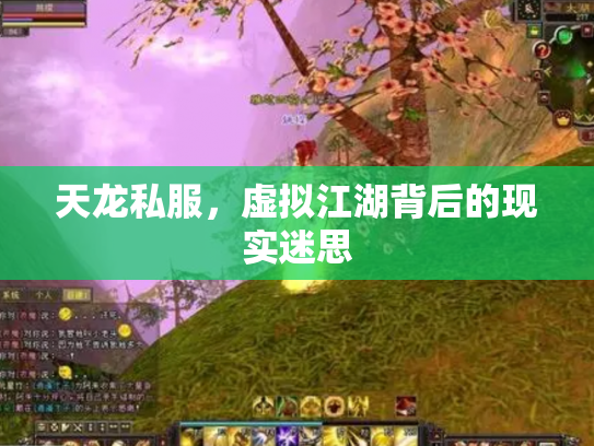 天龙私服，虚拟江湖背后的现实迷思