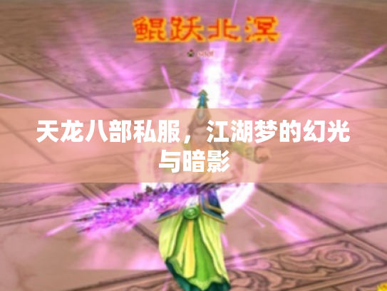 天龙八部私服，江湖梦的幻光与暗影