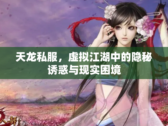 天龙私服，虚拟江湖中的隐秘诱惑与现实困境