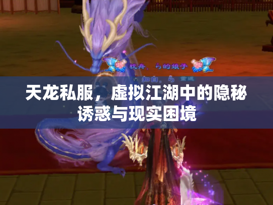 天龙私服，虚拟江湖中的隐秘诱惑与现实困境