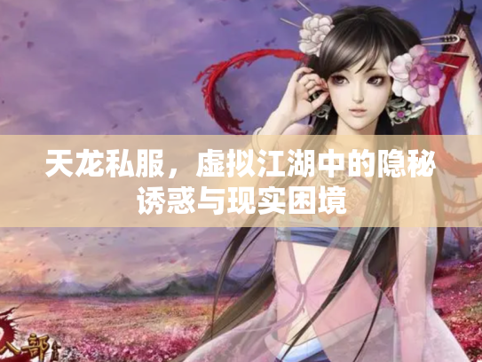 天龙私服，虚拟江湖中的隐秘诱惑与现实困境