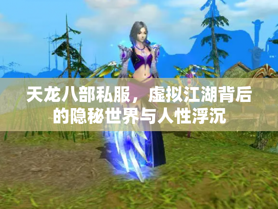 天龙八部私服，虚拟江湖背后的隐秘世界与人性浮沉