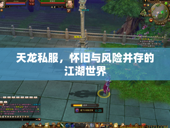 天龙私服，怀旧与风险并存的江湖世界