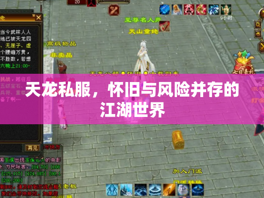 天龙私服，怀旧与风险并存的江湖世界