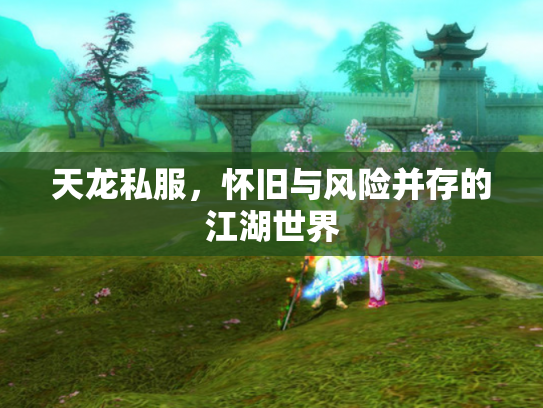 天龙私服，怀旧与风险并存的江湖世界