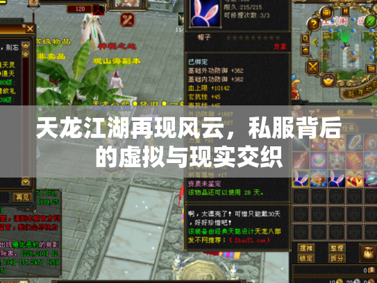 天龙江湖再现风云，私服背后的虚拟与现实交织