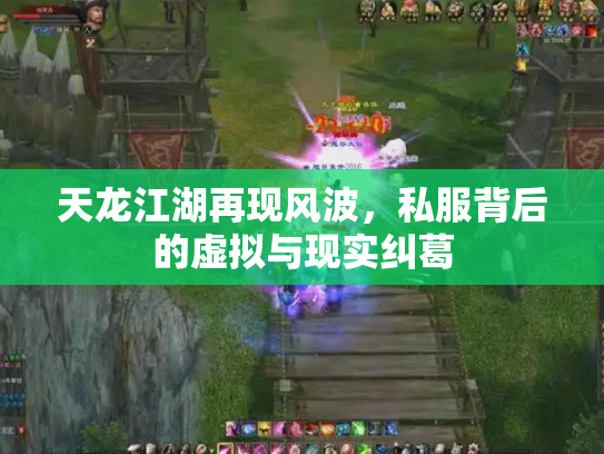 天龙江湖再现风波，私服背后的虚拟与现实纠葛