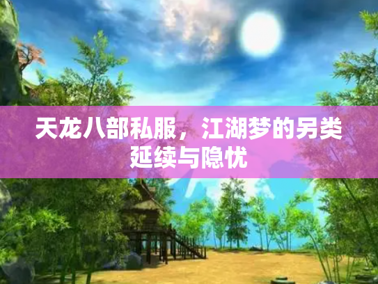 天龙八部私服，江湖梦的另类延续与隐忧