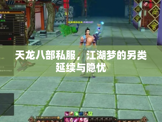 天龙八部私服，江湖梦的另类延续与隐忧