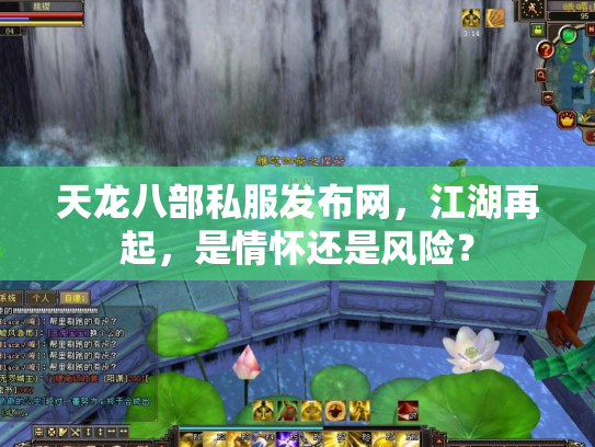 天龙八部私服发布网，江湖再起，是情怀还是风险？