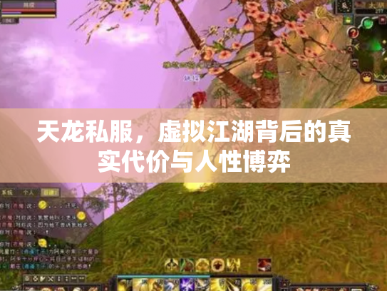天龙私服，虚拟江湖背后的真实代价与人性博弈