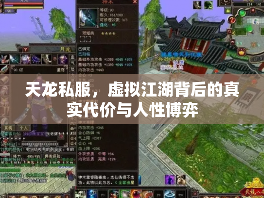 天龙私服，虚拟江湖背后的真实代价与人性博弈
