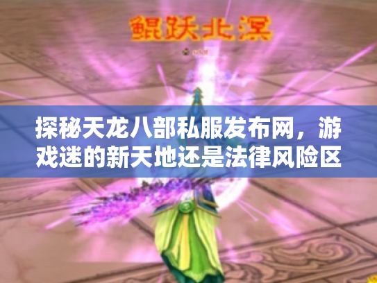 探秘天龙八部私服发布网，游戏迷的新天地还是法律风险区？