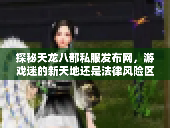 探秘天龙八部私服发布网，游戏迷的新天地还是法律风险区？