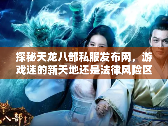 探秘天龙八部私服发布网，游戏迷的新天地还是法律风险区？