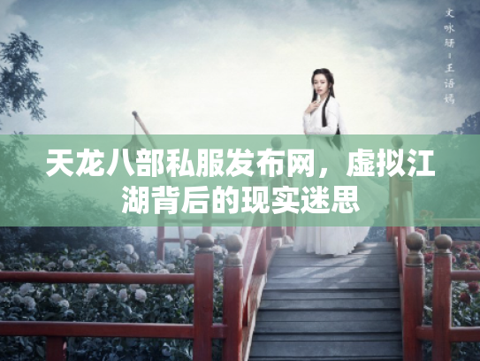 天龙八部私服发布网，虚拟江湖背后的现实迷思