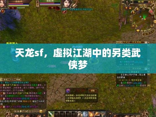 天龙sf，虚拟江湖中的另类武侠梦