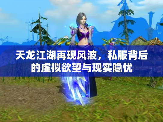 天龙江湖再现风波，私服背后的虚拟欲望与现实隐忧