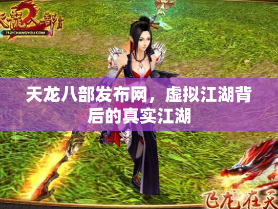 天龙八部发布网，虚拟江湖背后的真实江湖
