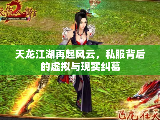 天龙江湖再起风云，私服背后的虚拟与现实纠葛